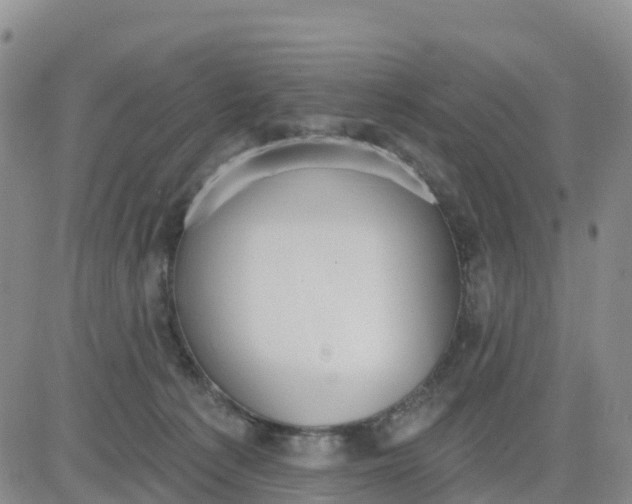 X0000080670225200612301408