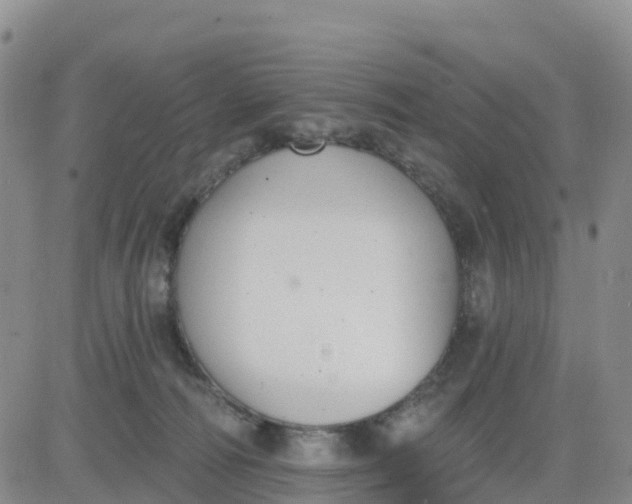 X0000080670226200612301408