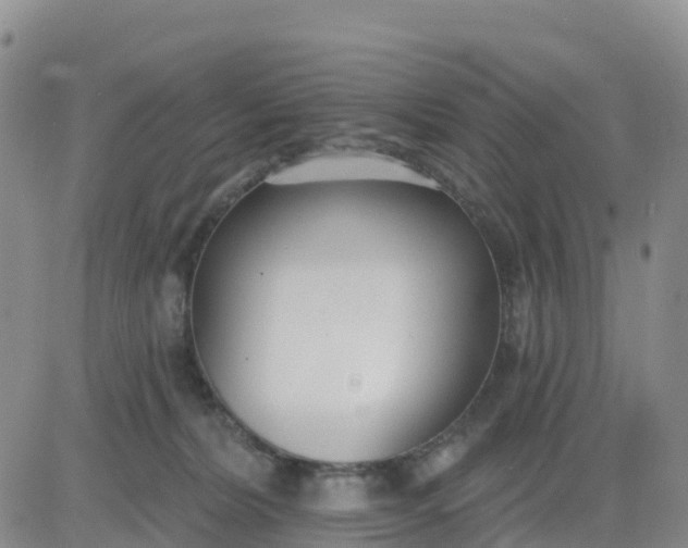 X0000080670228200612301408