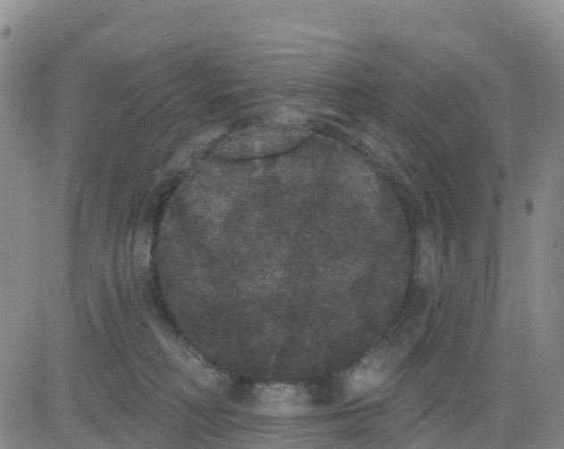 X0000080670230200612301408