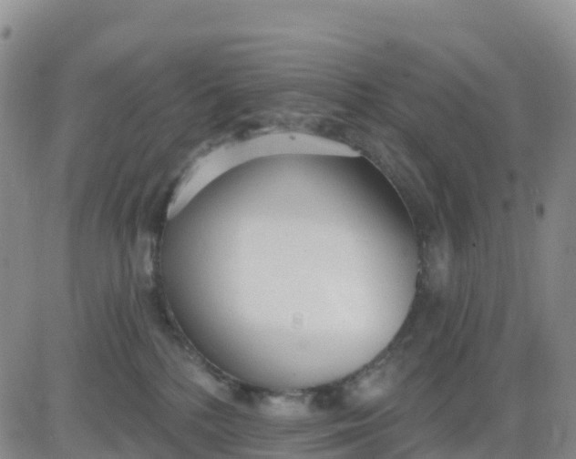 X0000080670232200612301408