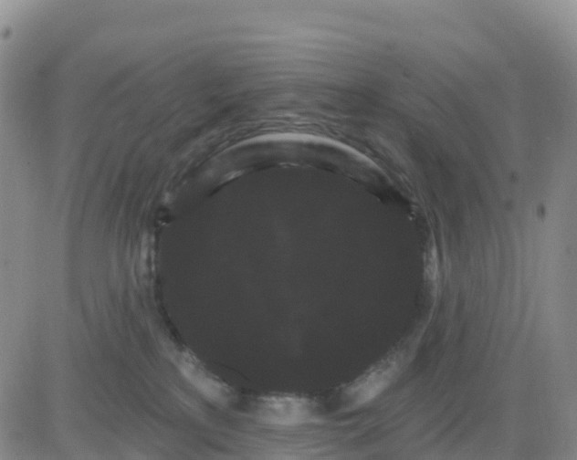 X0000080670233200612301408