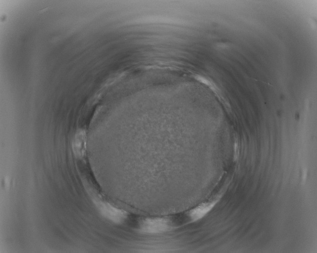 X0000080670237200612301408