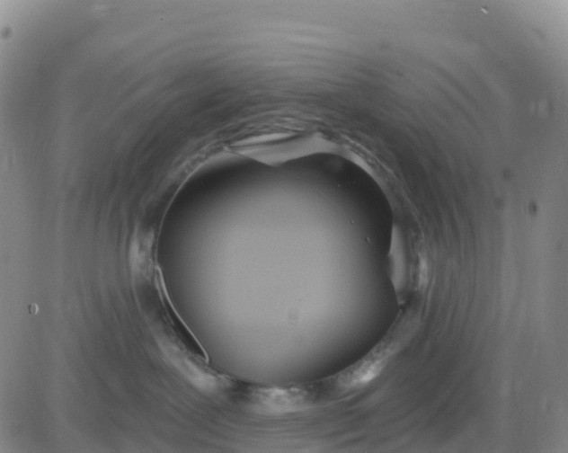 X0000080670239200612301408