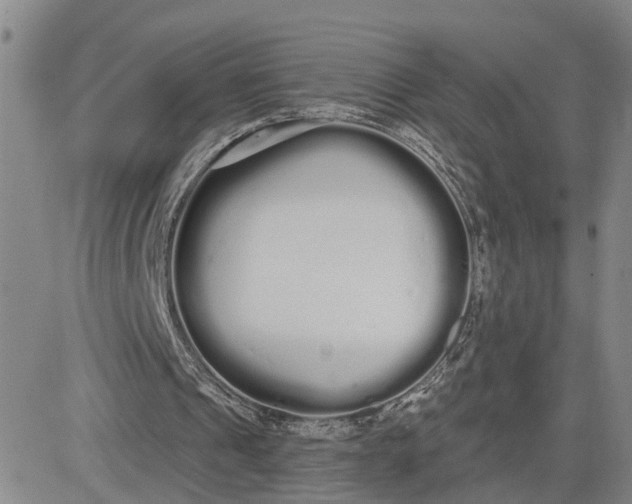 X0000080670241200612301407