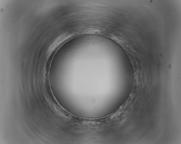 X0000080670242200612301407