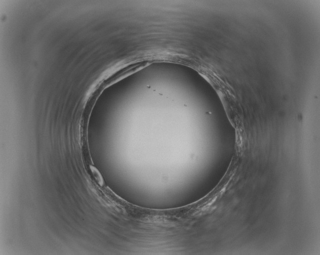 X0000080670244200612301407