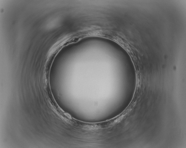 X0000080670245200612301407