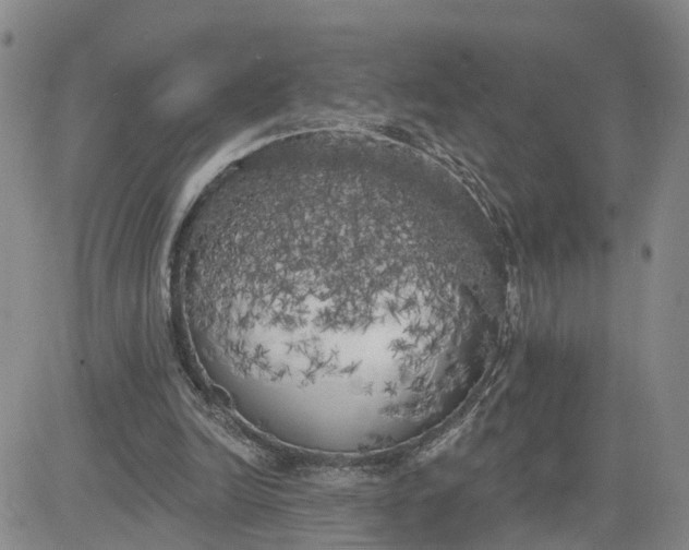 X0000080670246200612301407