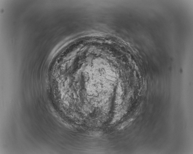 X0000080670247200612301407