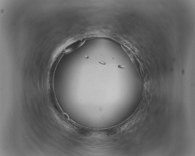 X0000080670248200612301407