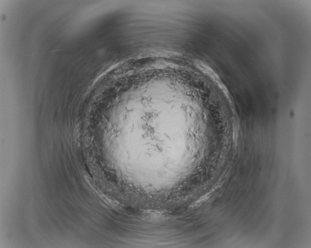 X0000080670249200612301407