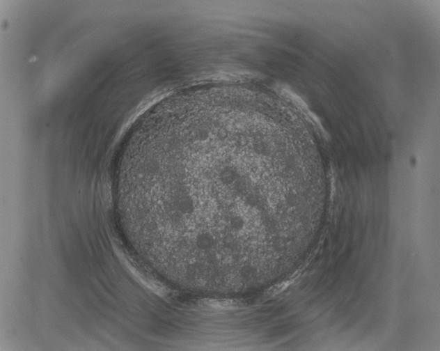 X0000080670250200612301407