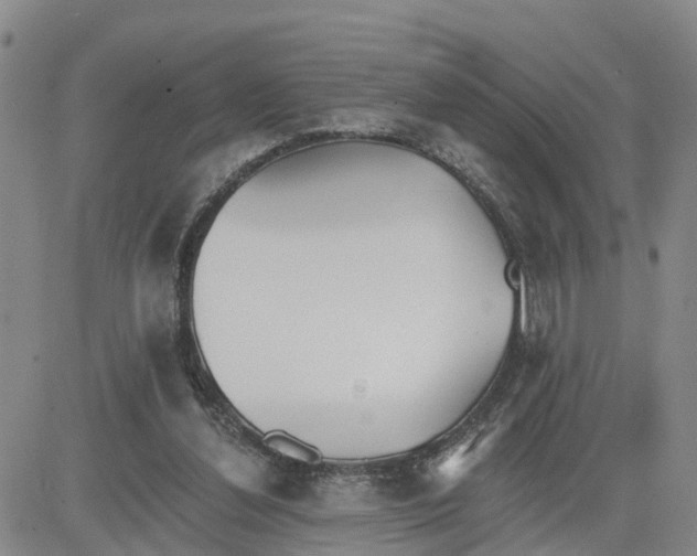 X0000080670252200612301407