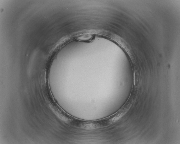 X0000080670253200612301407