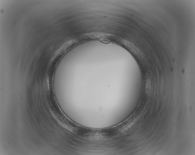 X0000080670254200612301407