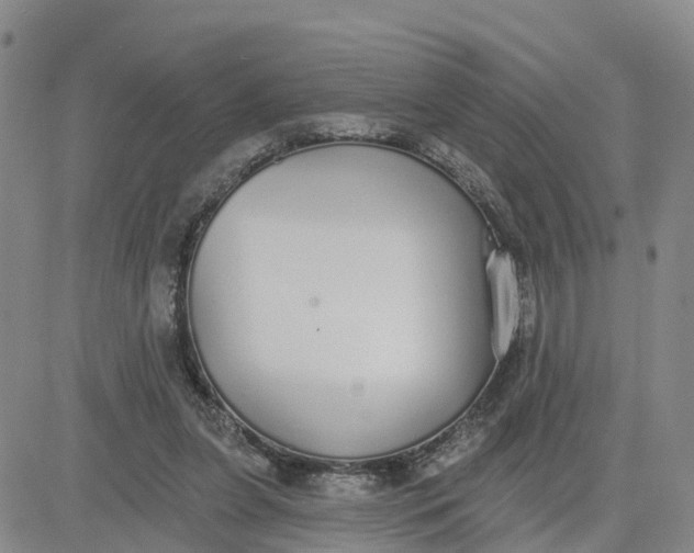 X0000080670255200612301407