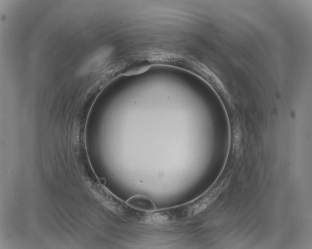 X0000080670257200612301407