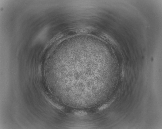 X0000080670258200612301407