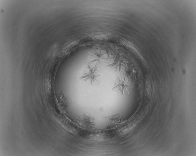 X0000080670259200612301407