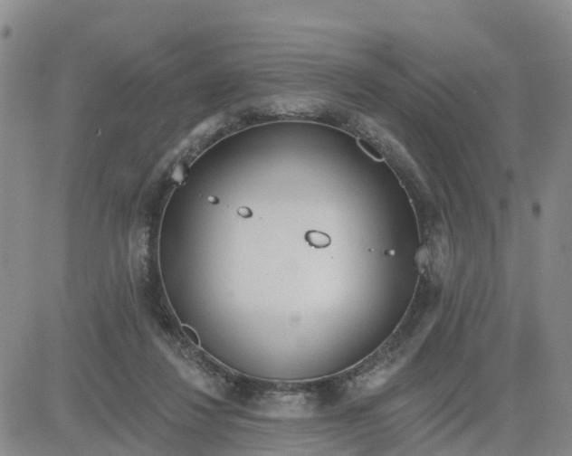 X0000080670260200612301407