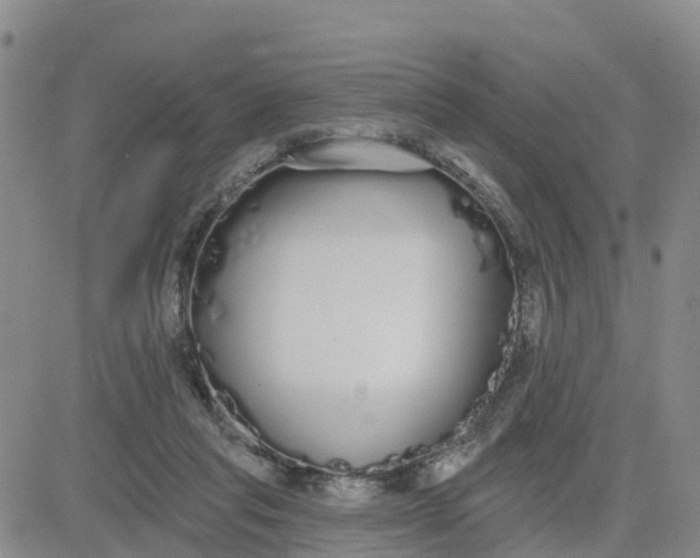 X0000080670261200612301407