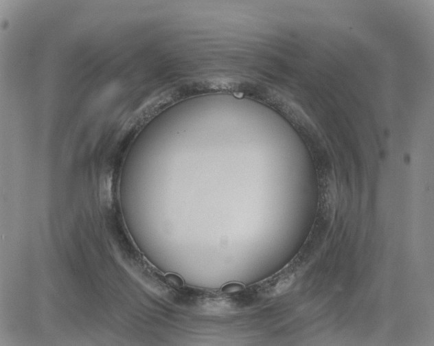 X0000080670262200612301407