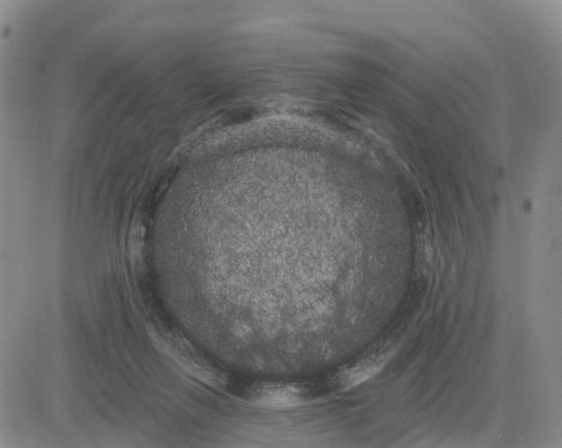 X0000080670263200612301407