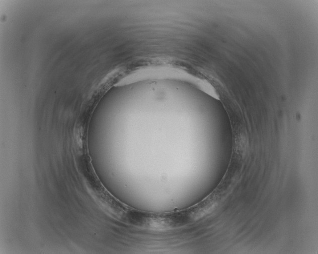 X0000080670264200612301407