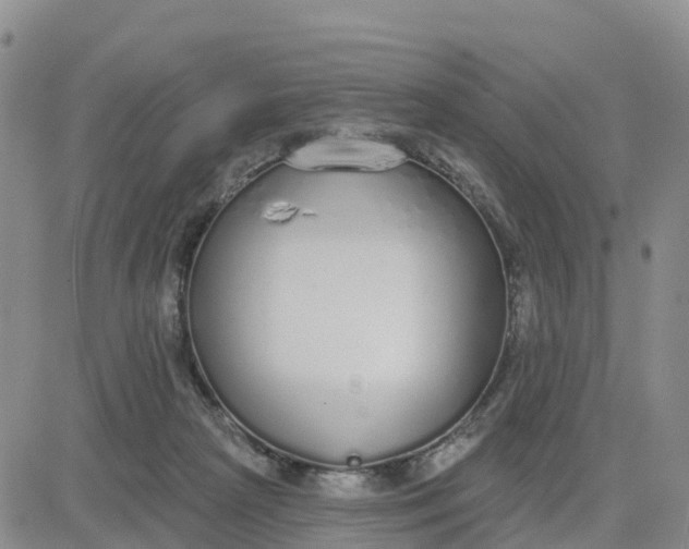 X0000080670265200612301407