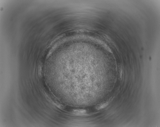 X0000080670266200612301407