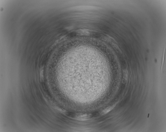 X0000080670267200612301407