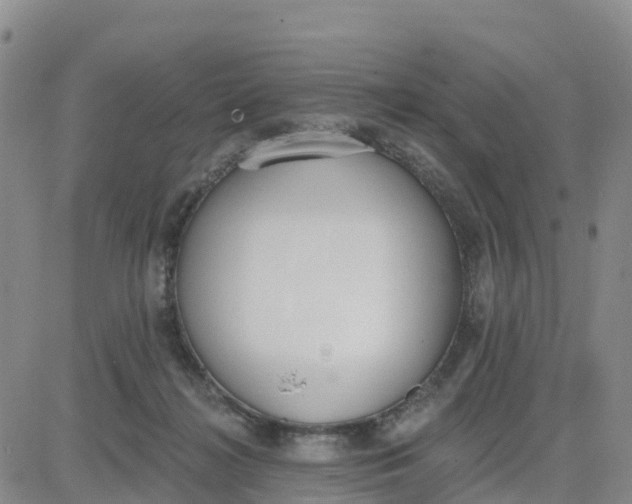 X0000080670268200612301407