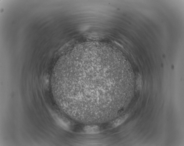 X0000080670271200612301407