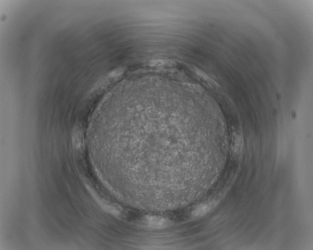 X0000080670272200612301407