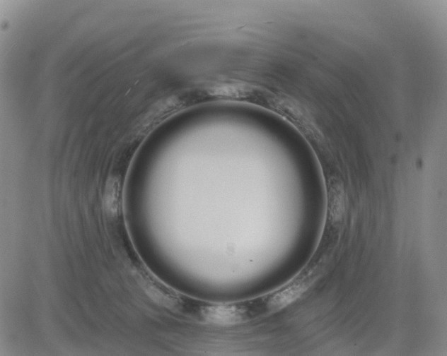 X0000080670273200612301407