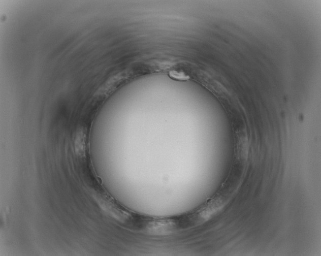 X0000080670274200612301407