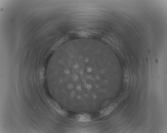 X0000080670275200612301407