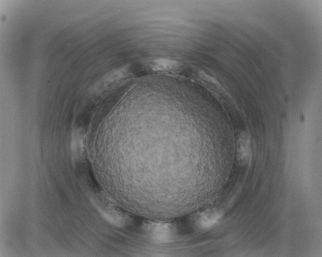 X0000080670276200612301407