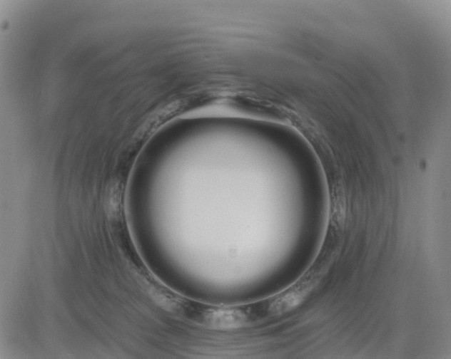 X0000080670277200612301407