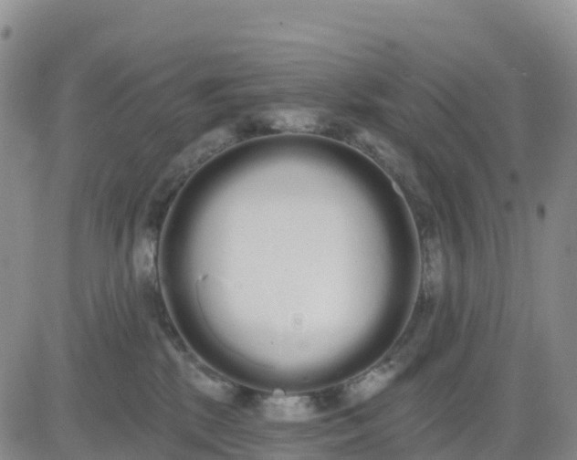 X0000080670281200612301407