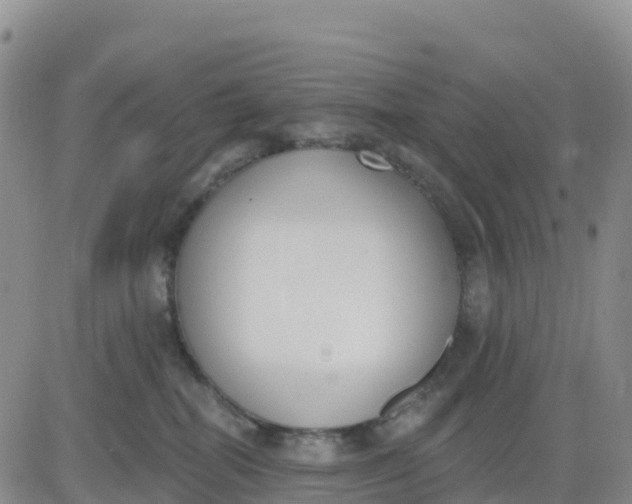 X0000080670282200612301407