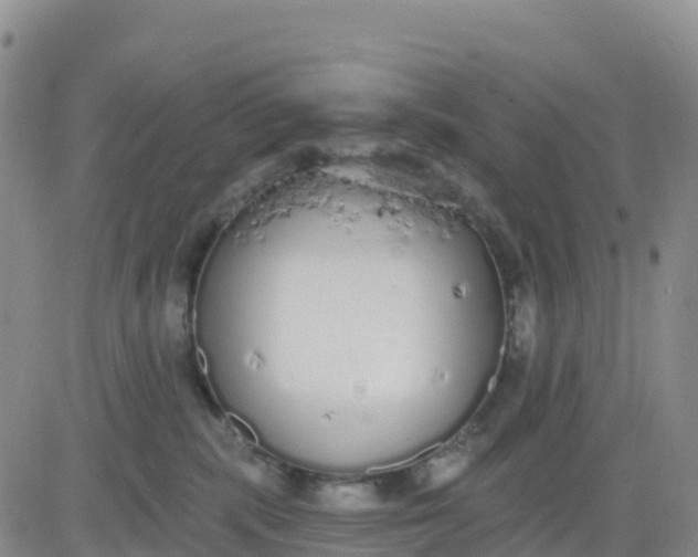 X0000080670283200612301407