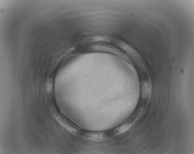 X0000080670284200612301407