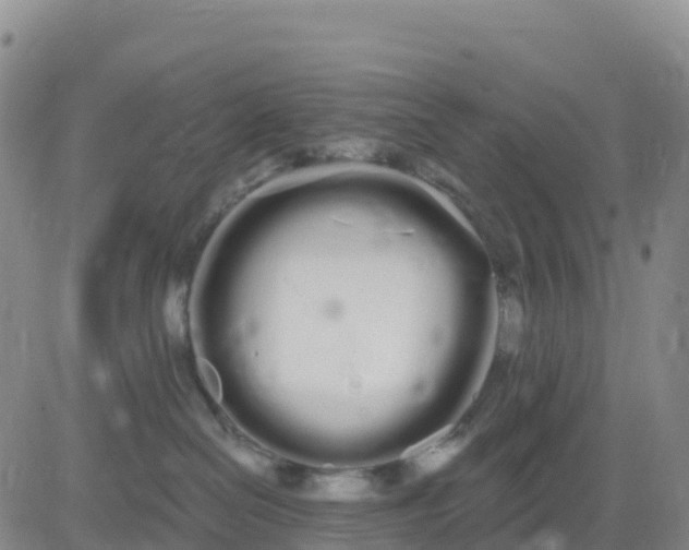 X0000080670286200612301407