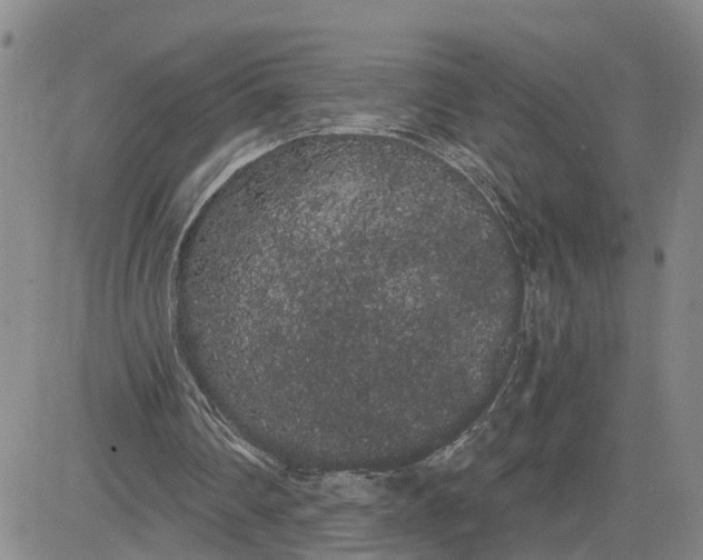 X0000080670290200612301407