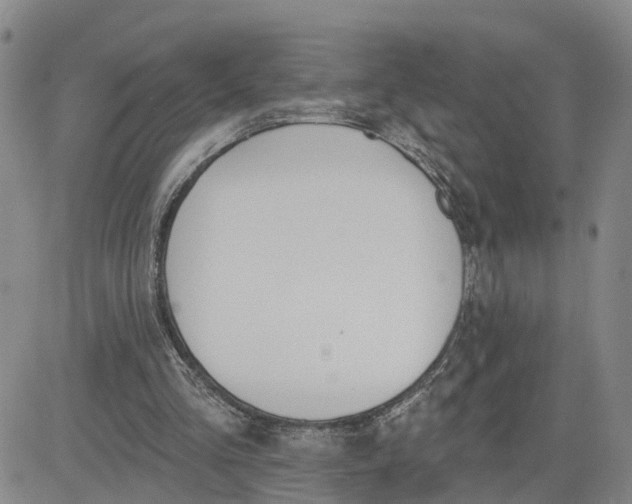 X0000080670293200612301407