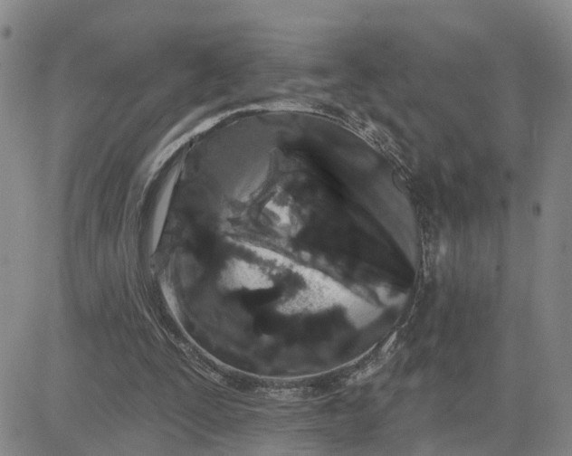 X0000080670295200612301407