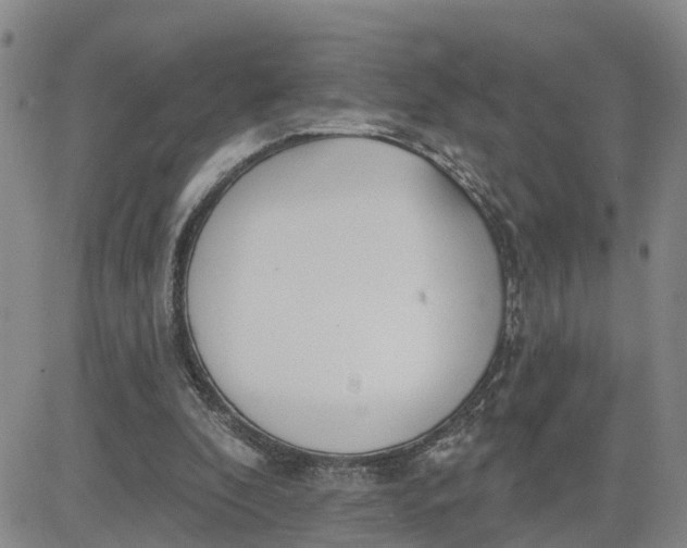 X0000080670296200612301407