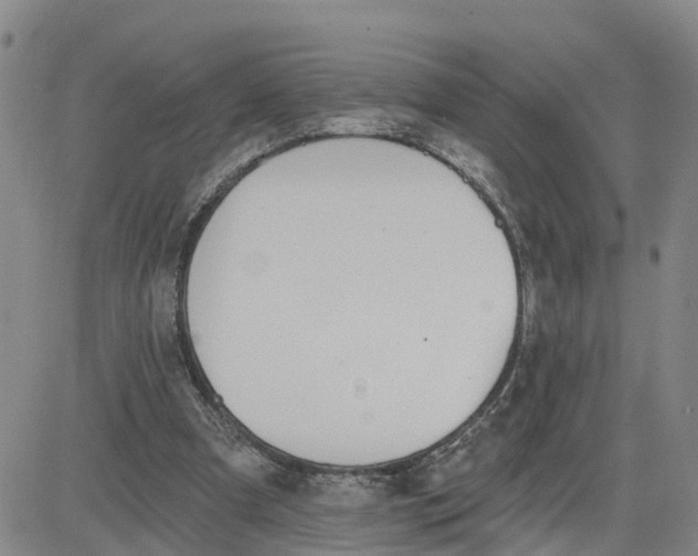 X0000080670297200612301407